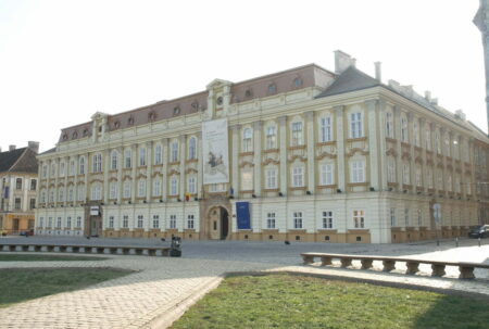 Avertisment important al Comisiei Naționale a Muzeelor și Colecțiilor: OUG privind cheltuielile publice ar putea însemna dezastru pentru instituțiile culturale