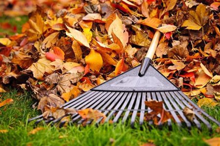 Curățenie în fiecare colț al orașului: Primăria Arad demarează campania de toamnă