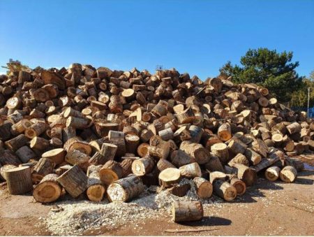 Direcția Silvică dă asigurări: cărășenii vor avea lemn de foc suficient pentru iarna aceasta