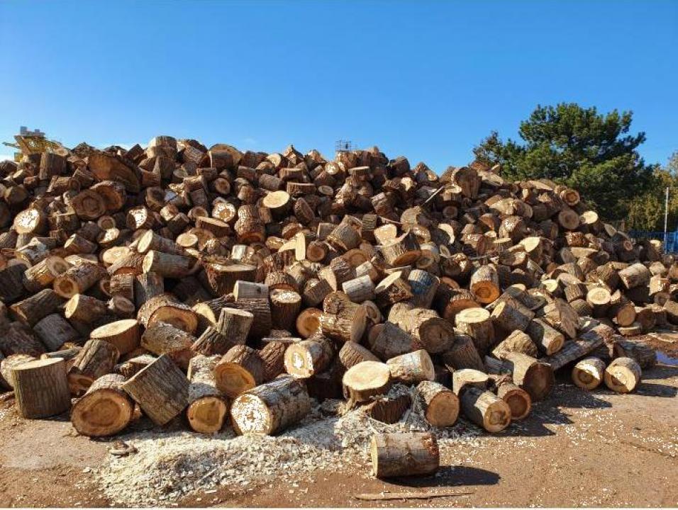 Direcția Silvică dă asigurări: cărășenii vor avea lemn de foc suficient pentru iarna aceasta