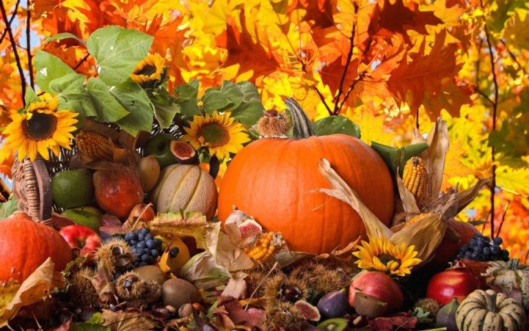Premieră la Giroc: Festivalul Recoltei 2023 – eveniment caritabil pentru o cauză nobilă