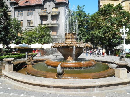 Primăria Timișoara cere peste 500.000 de lei în instanță pentru întârzierile la Fântâna cu pești