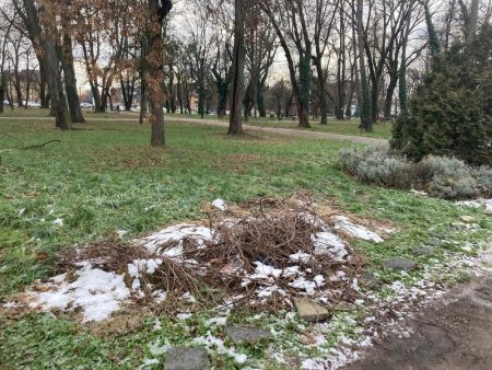Primăria Timișoara preia Parcul Civic de la constructorul care trebuia să-l modernizeze