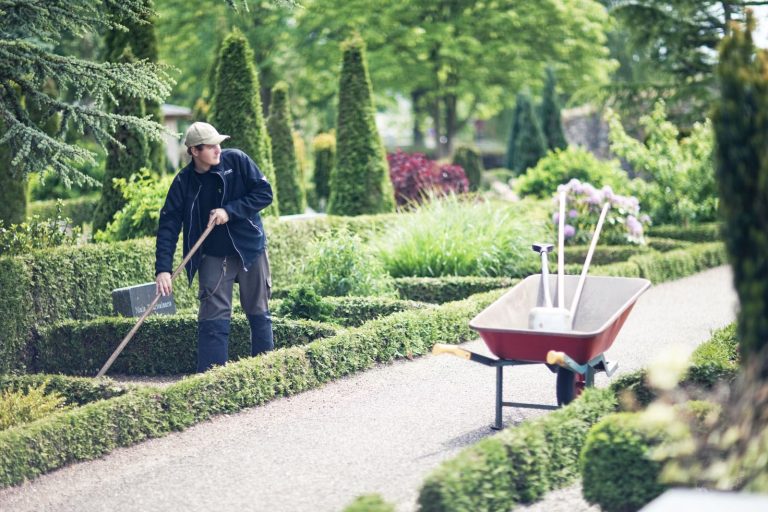 Agenția pentru Finanțarea Investițiilor Rurale deschide ușa spre viitorul educației agricole: 62 de licee de profil vor fi modernizate