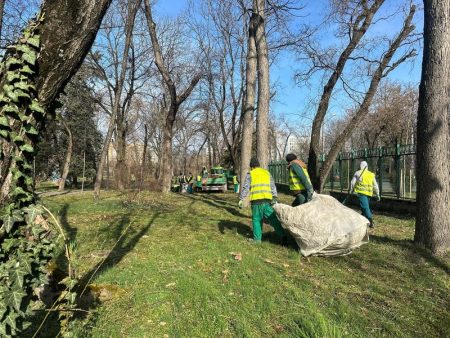 Timișoara mai curată: Primăria Timișoara a adunat peste 50 de tone de deșeuri de pe spațiile verzi