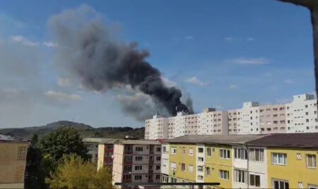Incendiu devastator în Reșița: focul amenință cartierul Câlnic și pădurea din apropiere